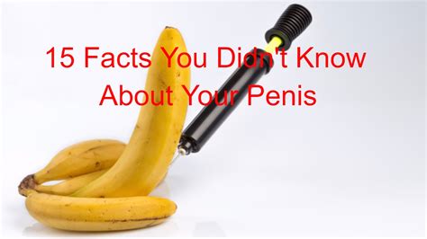 rate my penis|8 Things You Didn't Know About Your Penis .